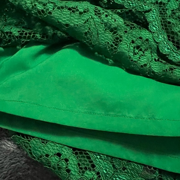 The Limited lined lace dress - Picture 5 of 7